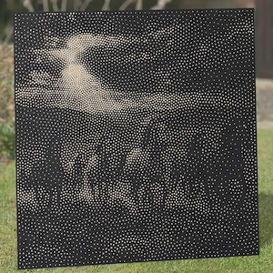 May include: A square black metal panel featuring a perforated design created by numerous small circular holes of varying sizes. The arrangement of these holes forms a light-colored, abstract image of a figure against the dark background.
