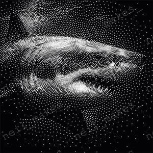 Può includere: Illustrazione in bianco e nero a pois della testa di uno squalo. La bocca aperta dello squalo rivela denti affilati. L'immagine è una rappresentazione artistica dettagliata del predatore marino.