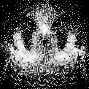 May include: A black and white dot-patterned image of a bird, possibly an owl, with its face and chest visible. The image is created using numerous white dots against a black background, giving it a textured appearance. The artist's name is visible in the corners.