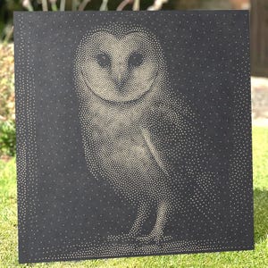May include: A square black panel featuring a pointillist illustration of a barn owl created with numerous small white dots. The owl is centered on the dark surface, with its heart-shaped face and plumage defined by the density of the white dots.