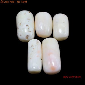 Coral blanco, gema suelta natural en forma de tubo, cabujón, 39,00 quilates.