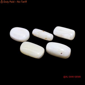 Tubo de coral, gema suelta, natural, blanca, cabujón, Italia, 35,00 quilates