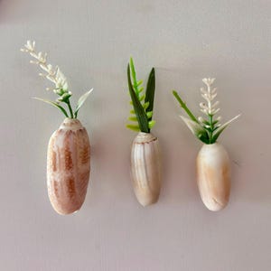 Shell Magnets