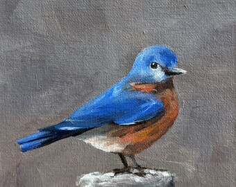 Lucky Bluebird - 6x6 inches - ORIGINAL Cat Painting