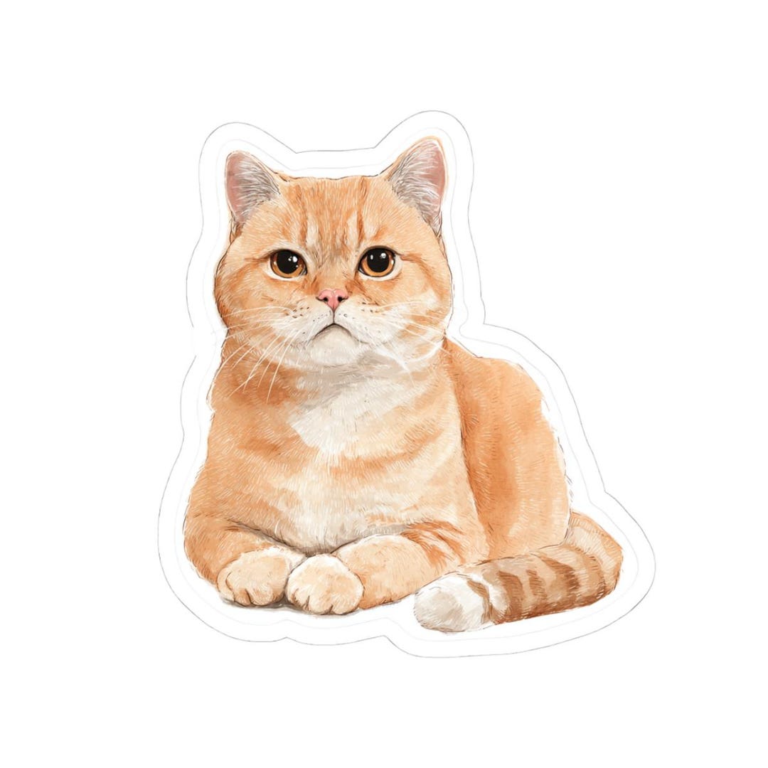 Orange Tabby Cat Sticker | Kiss-cut Vinyl Sticker - Etsy