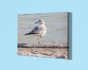 Mewa na płótnie: Fotografia ptaków przybrzeżnych, wystrój domu na plaży, wydruk oceaniczny, zdjęcie nad morzem