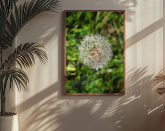 Impresión fotográfica artística de diente de león: decoración botánica minimalista para pared