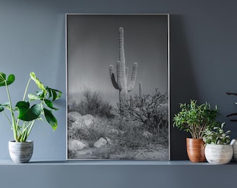 Saguaro Cactus Black and White Photo: Arizona Desert Wall Art