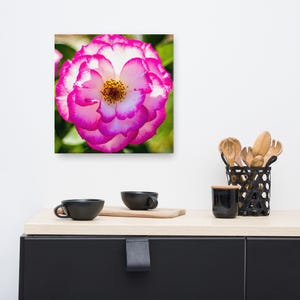 Pink Rose Canvas Wall Art: Floral Photography Print