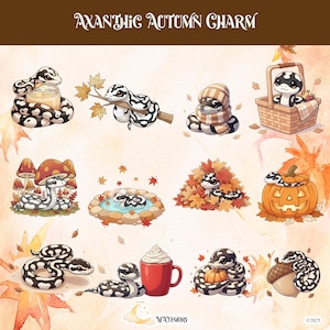 May include: Watercolor illustration featuring various axanthic snakes in autumn settings. Snakes are depicted with black and white patterns, interacting with fall elements like leaves, pumpkins, and a picnic basket. The text "Axanthic Autumn Charm" is at the top.