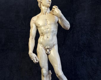 Escultura de David – Estatua clásica hecha a mano – Arte renacentista para decoración del hogar – 44 cm (17,3 pulgadas)