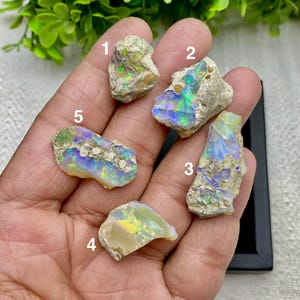 Peut inclure: Cinq pierres d'opale brutes aux couleurs irisées vibrantes de bleu, vert et jaune. Les opales sont taillées à l'état brut, présentant des textures naturelles et des tons terreux. Chaque pierre varie en taille et en forme, révélant des motifs uniques.