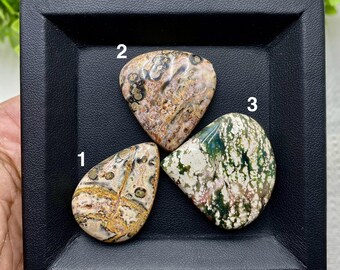 May include: Three polished gemstones with unique patterns and colors are displayed in a black tray. The stones feature a mix of brown, beige, green, and white hues. Each stone has a distinct shape and texture, showcasing natural variations.