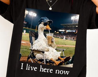 I live here now Goose Ballfield Png, Baseball Mama Style Png, Softball Png, Travel Baseball Shirt Tournament Design, Softball Ball Mom Png