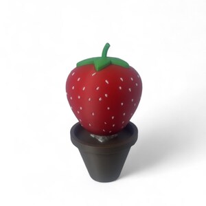 Potted Strawberry Desk Fidget