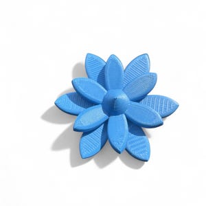 Colorful Succulent Fidget Clicker