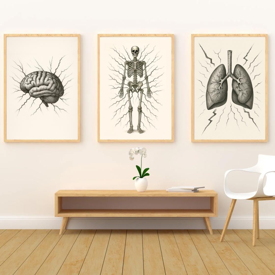 Vintage Anatomy Art Prints (set of 3) – Lungs, Brain, Skeleton (digital ...