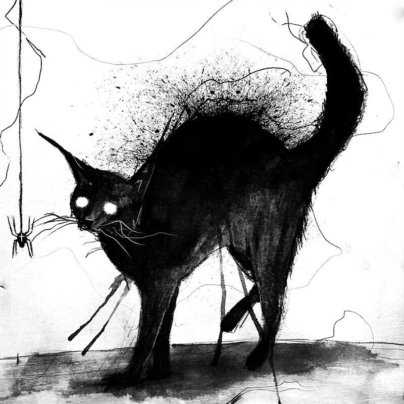 Oreiller Chat Effrayant Pottery Barn Pour Ado - Édition Halloween