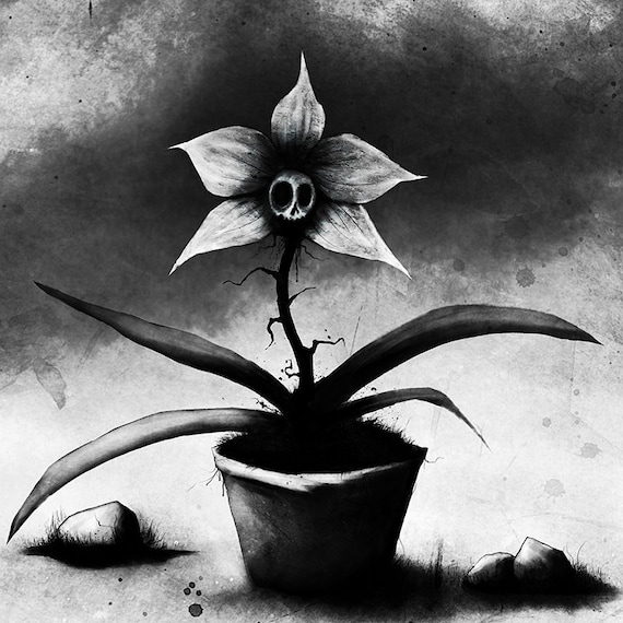 Skull Orchid Art Print: Gothic Floral Dark Home Decor - Etsy Israel
