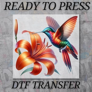 May include: A vibrant DTF transfer design featuring a colorful hummingbird with outstretched wings, hovering near an orange lily. The words "READY TO PRESS" and "DTF TRANSFER" are printed above and below the image.