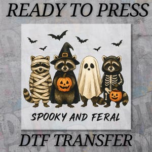 Spooky and Feral DTF Transfer, Funny Halloween Raccoon Ready to Press, Wild Spooky Season Heat Transfer, Feral Animal Halloween Print