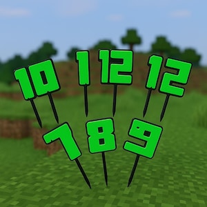 Minecraft-Themed Number Cake Toppers – Buy Individually or as a Full Set – Birthday Party Decoration