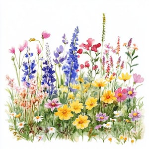 14 Wildflower Flowerbed Clipart, Wild Flowers, Printable Watercolor, White background JPG, Digital download, Paper craft, Junk Journal