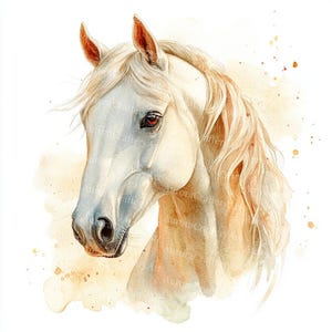 23 Horse Clipart, Horse Image, Cute Animal Clipart, Equestrian Clipart, Printable Watercolor, High-Quality JPGs, Papercraft, Junk Journal