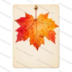 24 imágenes prediseñadas de tarjetas con muestras de hojas prensadas, acuarela botánica prensada translúcida