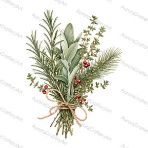 May include: A botanical illustration of a bundle of fresh herbs including rosemary, sage, and thyme, accented with small red berries. The stems are tied together with a simple tan twine bow, creating a rustic arrangement of green foliage.