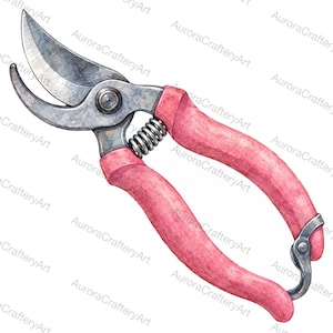 May include: A watercolor illustration of garden pruning shears featuring a sharp, metallic silver blade and a curved counter-blade. The handles are a textured, muted pink color, connected by a central metal spring and a locking mechanism.