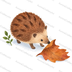 May include: A watercolour illustration of a brown hedgehog with dark brown quills, a light tan face, and a black nose. The hedgehog is positioned next to a large, orange-brown fallen oak leaf and a small green sprig with four leaves.