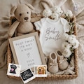 Dog Themed Baby Pregnancy Announcement | Plot Twist It’s Not a Dog | Funny Baby Reveal | Editable Pregnancy Announcement | Digital Download