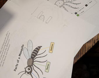 Buzz Into Learning 3-daagse
