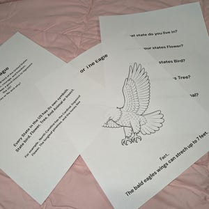 May include: Three white sheets of paper with black printed text and a line drawing of a bald eagle. The text includes questions about state symbols, facts about the bald eagle, and mentions that bald eagle wings can stretch up to 7 feet.