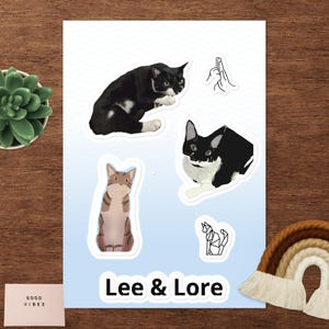 Süßer & Verspielter Kitty Stickerbogen
