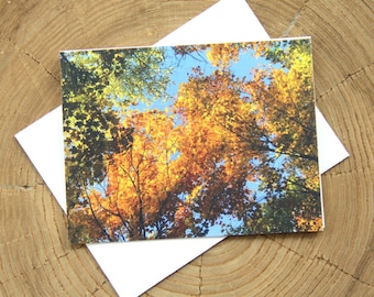 Oktoberfest Autumn 4 blank greeting cards