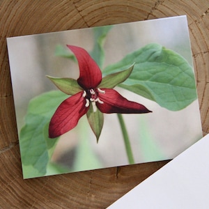 Trille rouge - 1 carte de correspondance vierge