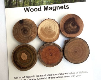 6 Wood Magnets- group J - Walnut, Cedar, Apple, Sumac, Buckthorn, Cherry - for home or office