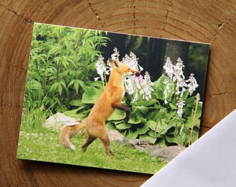 Flower -  Fox Kits -  1 blank note card - C29