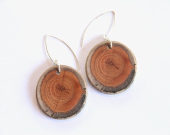 Buckthorn - 1.5" wood and sterling silver earrings - SSE20