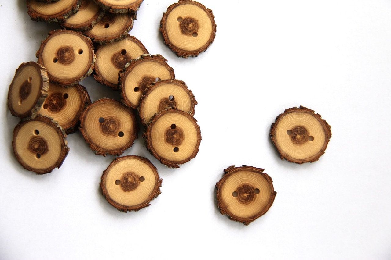 Oak buttons with bark 1.3 M17 Etsy