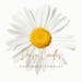 Daisy Candles