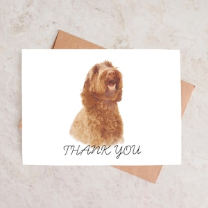 Carte de remerciement chien, Labradoodle australien, Doodle chocolat, lien de modèle téléchargeable 4,25 x 5,5 et imprimable, téléchargement numérique instantané