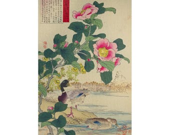 Jigsaw Puzzle, Japanese Floral and Bird Design, 110 252 520 1014-piece, Ume Reihe, Ume Reihe Flower and Bird Painting Album, Kaisei Guava,
