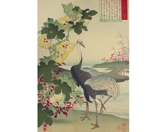 Jigsaw Puzzle, Ume Mino Ume Mino Flower and Bird Painting Album, Grass Cotton Crane, Relaxing Challenge, Gift for Puzzle Lovers, Beautiful
