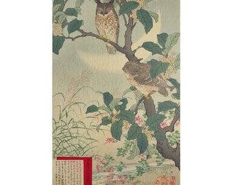Jigsaw Puzzle - Traditional Japanese Woodblock Print Design - Plum Blossoms and Birds - 110, 252, 520, 1014-piece, Mindfulness Activity,