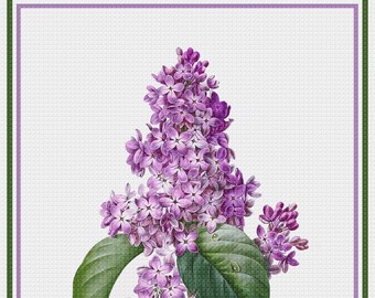 DIGITAL DOWNLOAD Pierre-Joseph Redouté  Lilac Flower Orenco Originals Counted Cross Stitch Chart