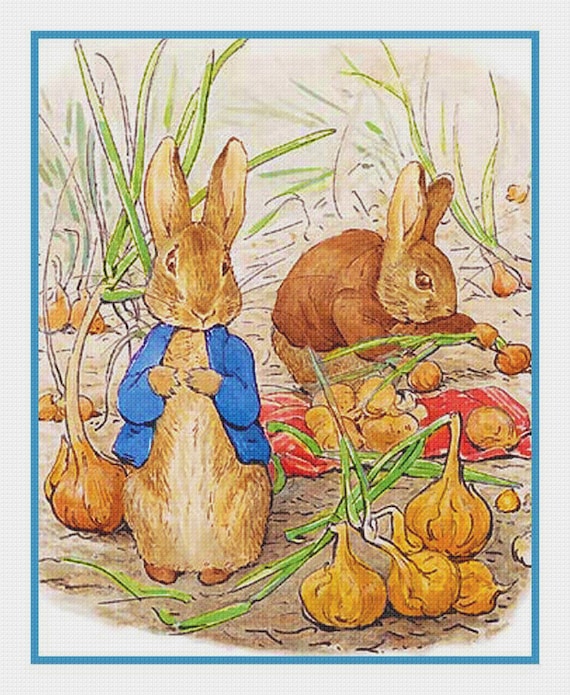 Onion rabbits hotsell