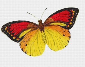 DIGITAL DOWNLOAD Colorful Red Gold Black Butterfly Orenco Originals Counted Cross Stitch Pattern Chart